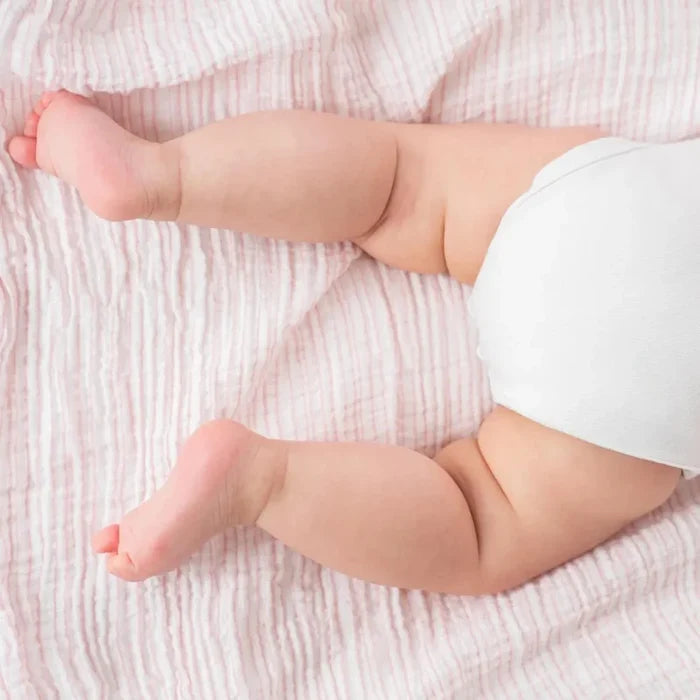 Aden + Anais Essentials Muslin Swaddle Blanket (Pack of 4)