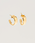 Aura earrings