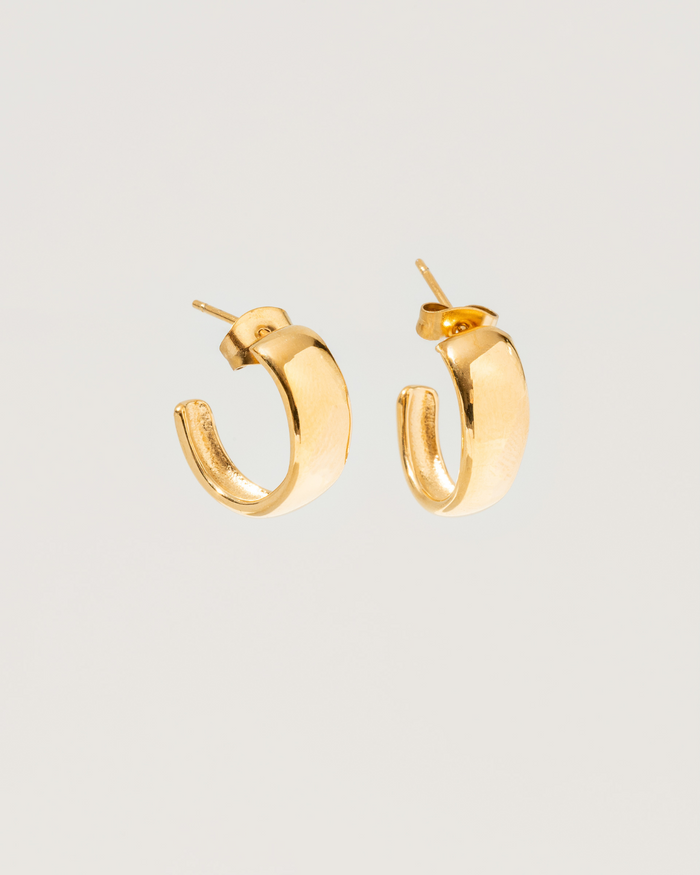 Aura earrings