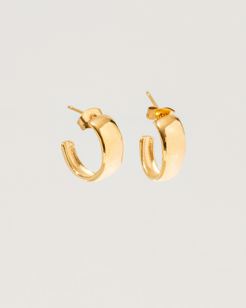 Aura earrings