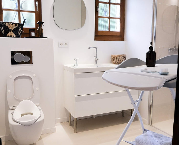 Beaba Toddler Toilet Seat Light Mist