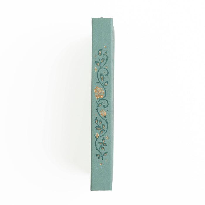 Books of Beauty Notebook: IN STOCK / Dot Grid / B5: 160 Pages