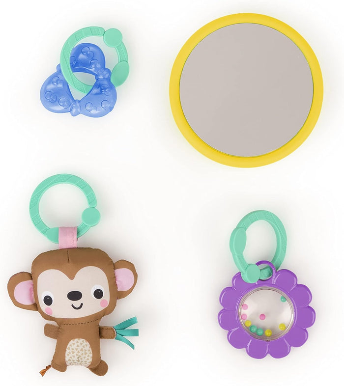 Bright Starts Fanciful Flowers Refresh