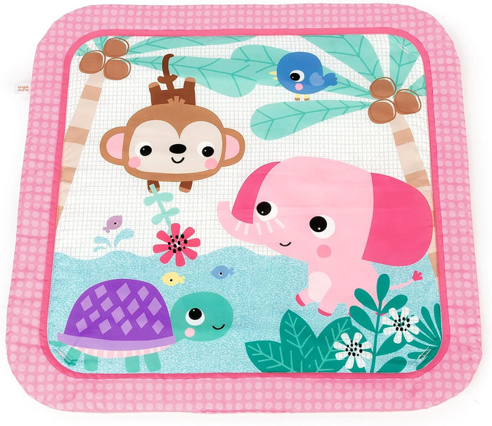Bright Starts Fanciful Flowers Refresh