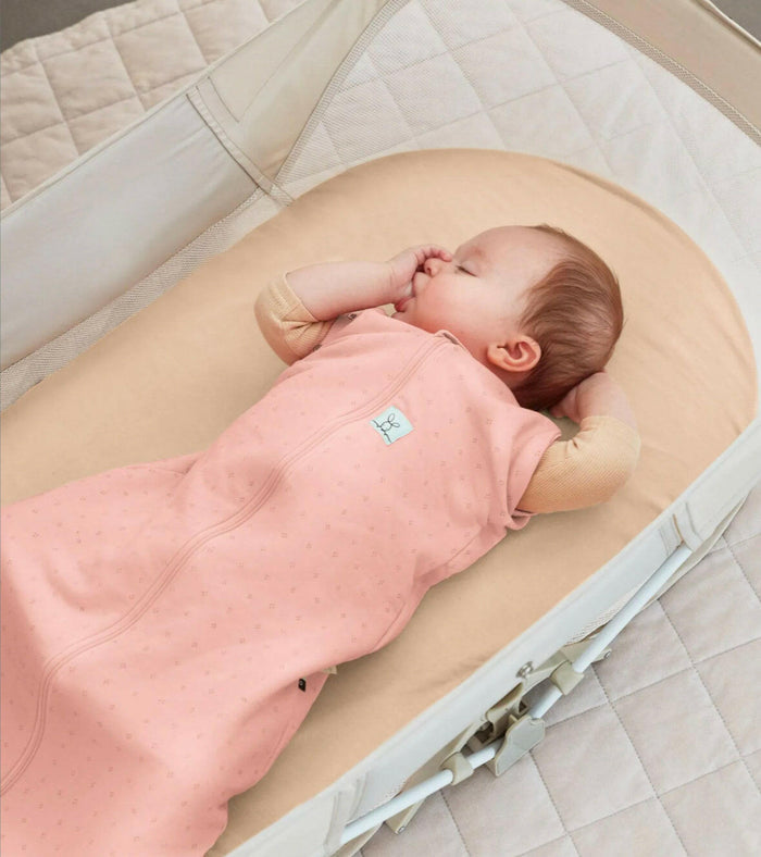 Ergo Pouch -Portable Bassinet.