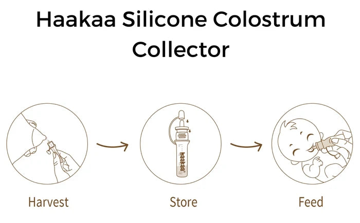 Haakaa Silicone Colostrum Collector Set 4 ml, 6 PK (Pre-Sterilized).