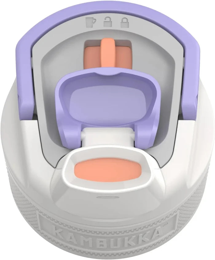 Kambukka Elton Insulated Drinking Water Bottle (500ml)