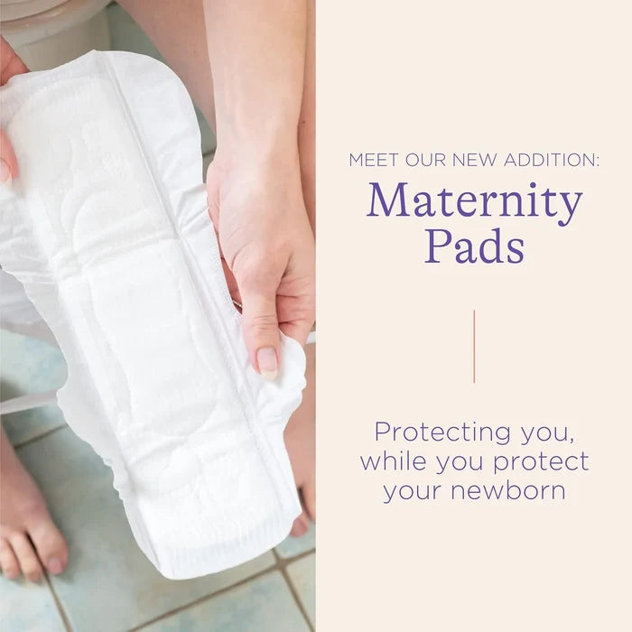 Lansinoh Maternity Pads, 2+ Weeks Post-Birth (12 pads)