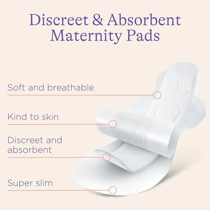 Lansinoh Maternity Pads, 2+ Weeks Post-Birth (12 pads)