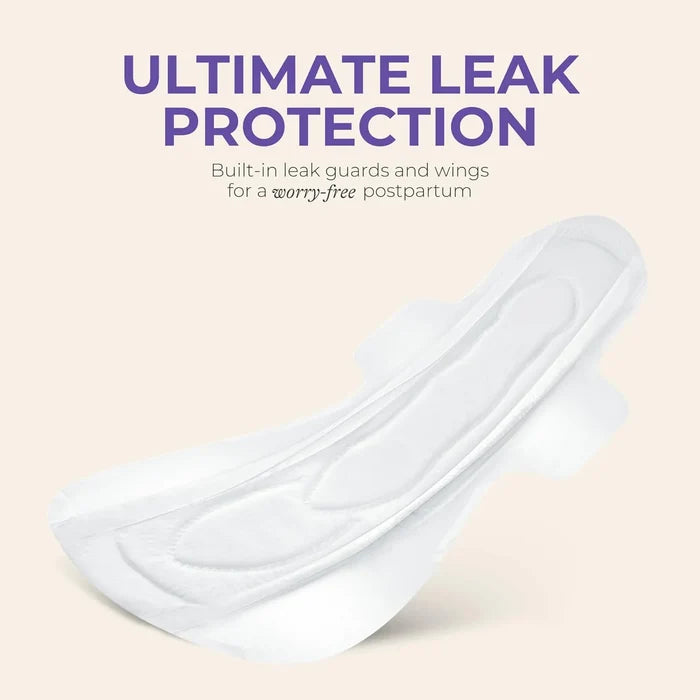 Lansinoh Postpartum Leak Protection Kit