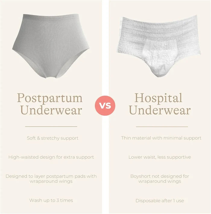 Lansinoh Postpartum Leak Protection Kit