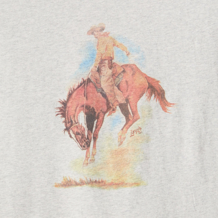 Levi's® Men's Relaxed Short Sleeve Graphic T-Shirt