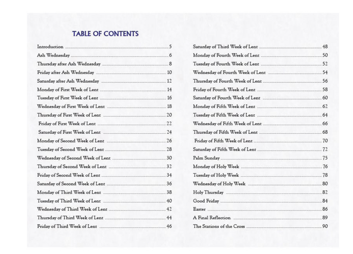 Table of contents for a book with chapter headings.