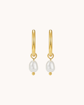 Nacre hoops