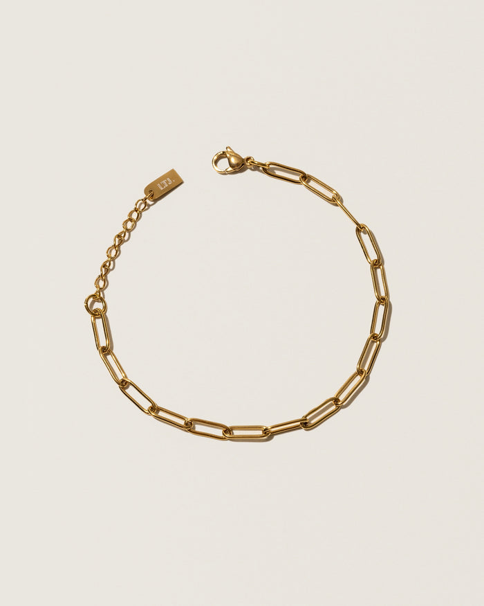 Paperclip bracelet
