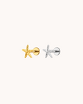 Piercing starfish (1)