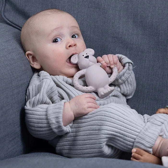 Pippeta Albert Bear Natural Rubber Teether
