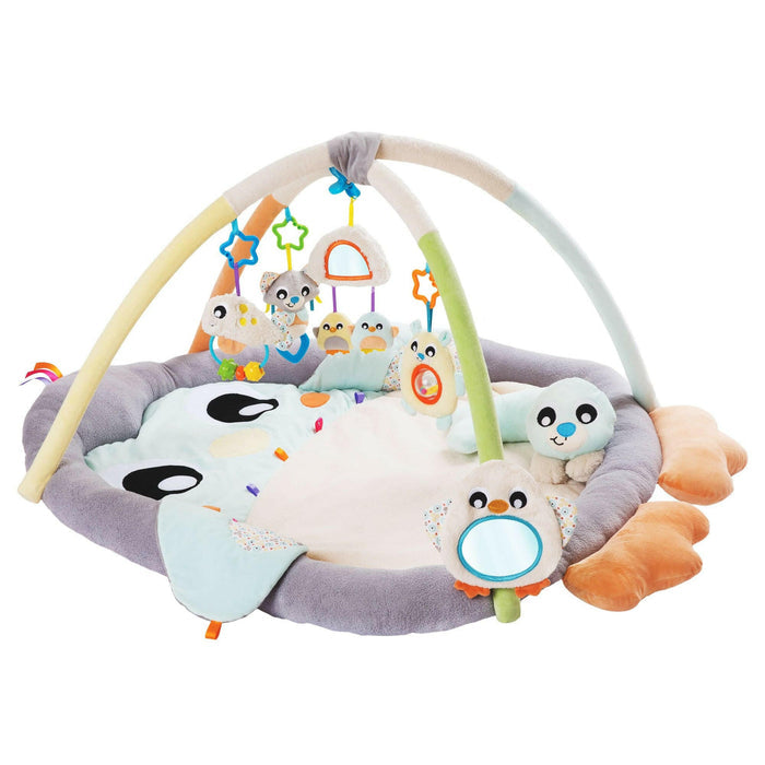 snuggle me penguin tummy time gym