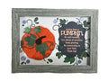 A framed autumn-themed art piece featuring a 3D orange pumpkin with green leaves next to a dark slate sign that reads 'Advice from a pumpkin' with inspirational text, set in a distressed gray wooden frame against a textured gray background.