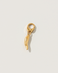 Spicy charm pendant