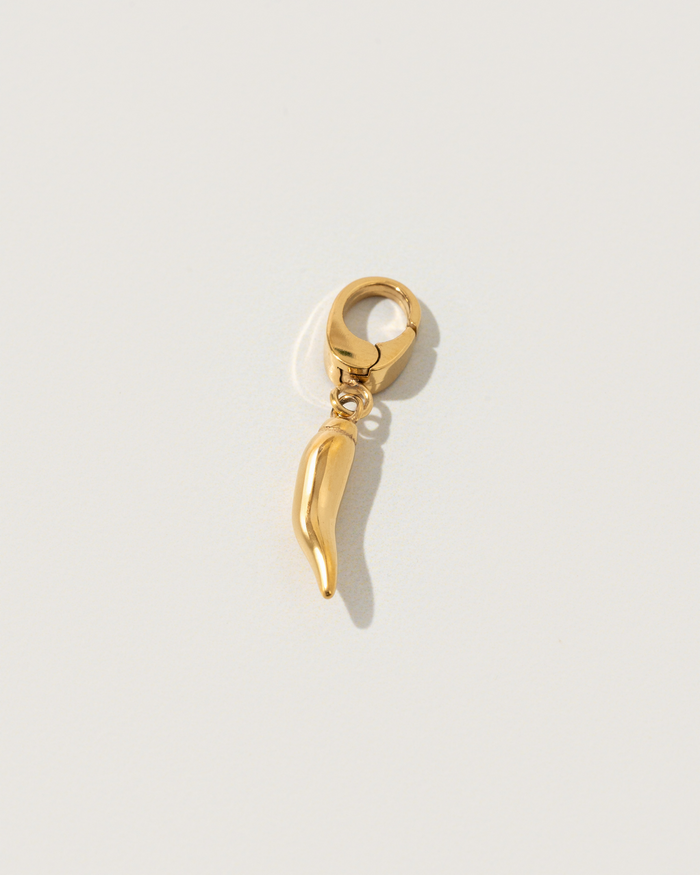 Spicy charm pendant