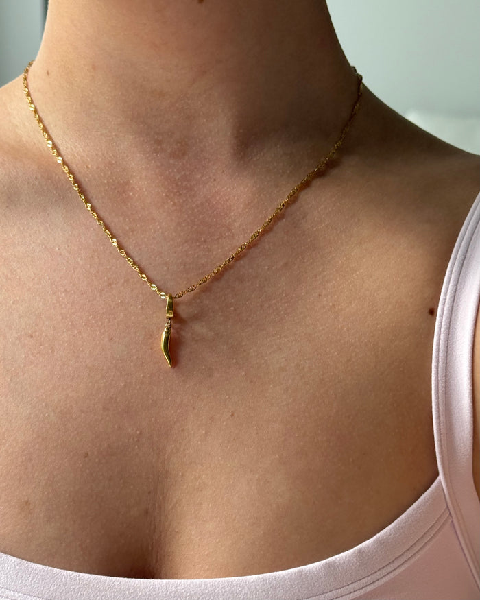 Spicy charm pendant