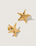 Starfish earrings - Textures