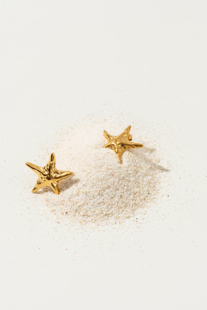 Starfish earrings - Textures