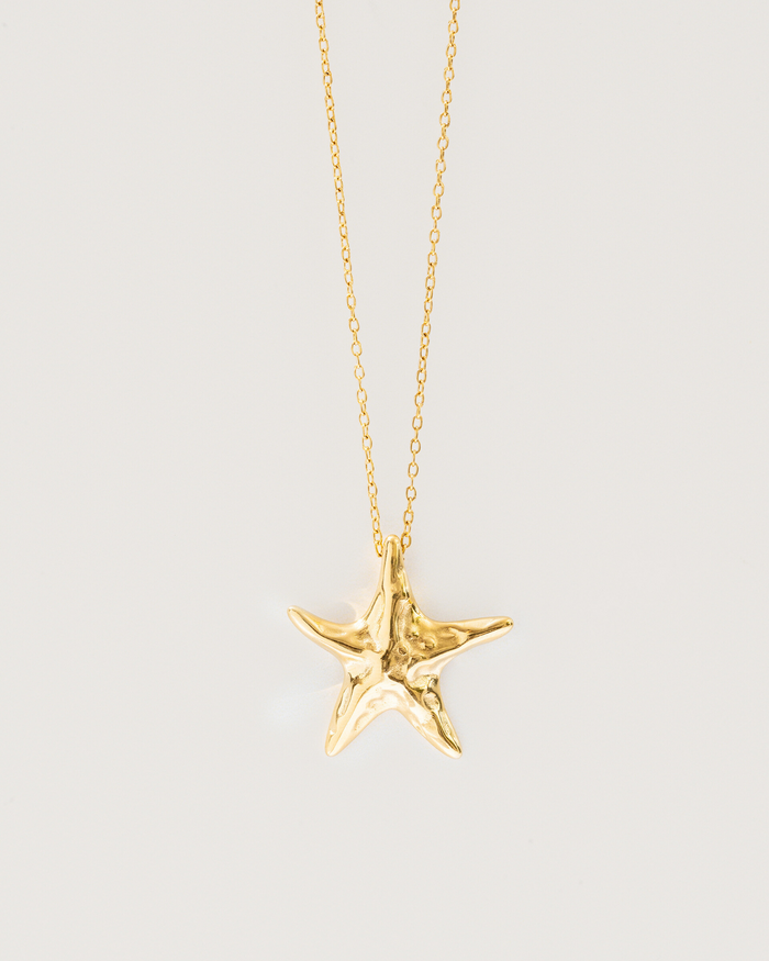Starfish necklace - Textures
