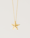 Starfish necklace - Textures
