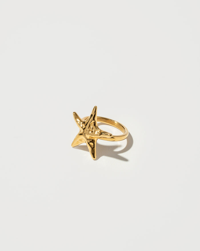 Starfish Ring - Textures