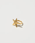 Starfish Ring - Textures