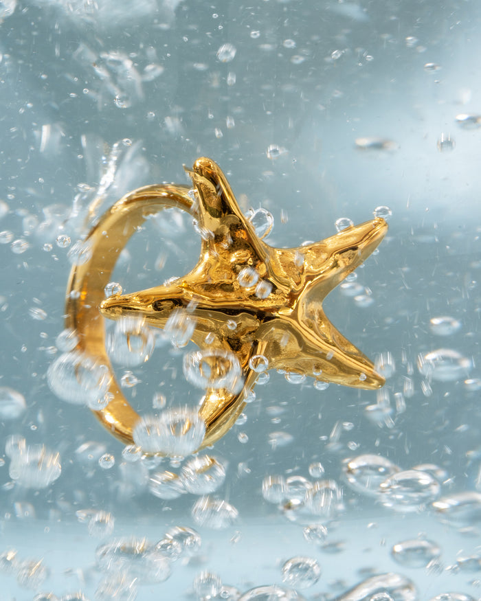 Starfish Ring - Textures