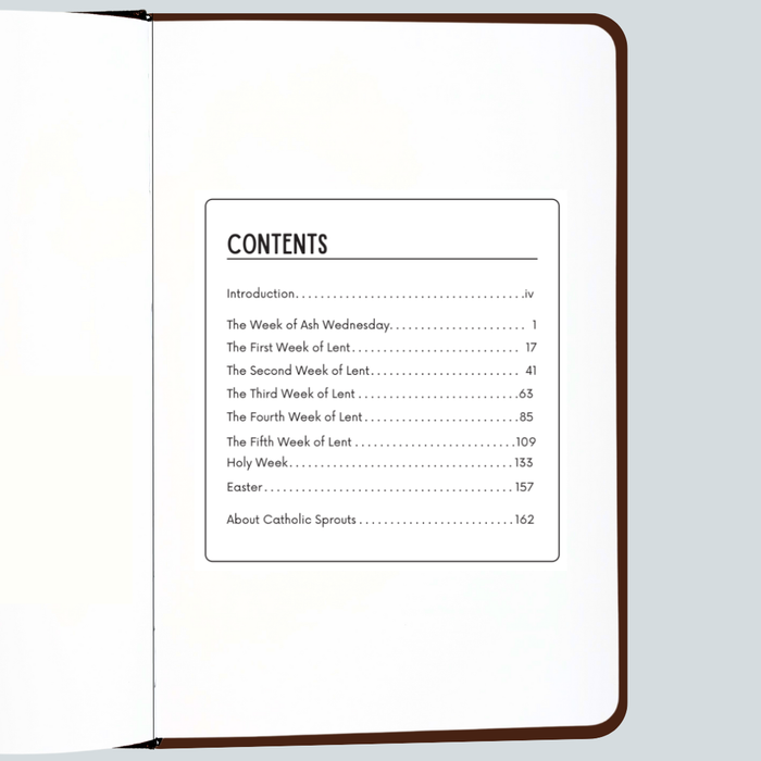 Table of contents page of a book with a brown border on a white background