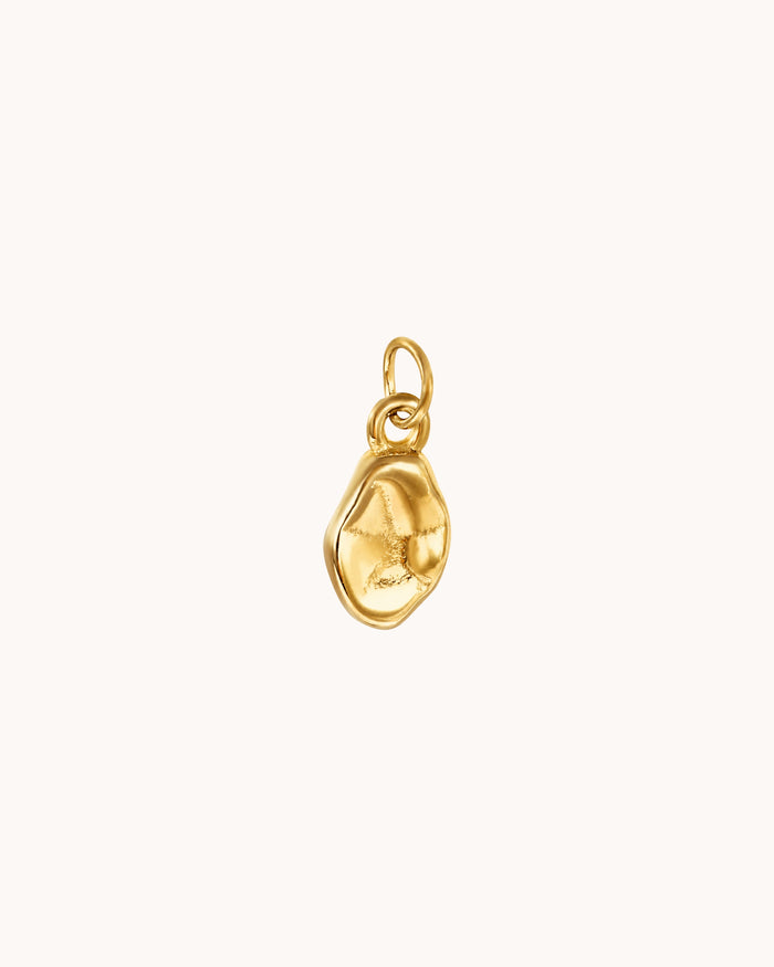 Texture charm