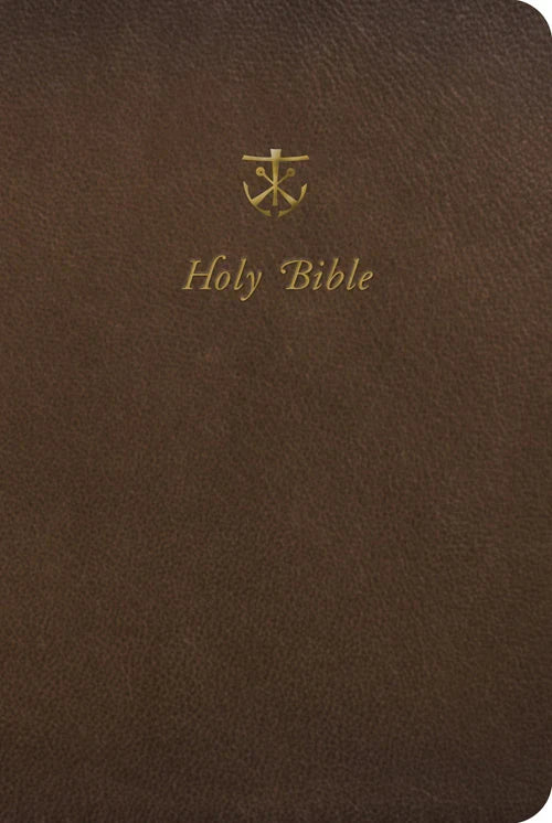 Brown leather Bible cover with gold embossed text and logo