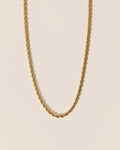 Torsade minimalist necklace
