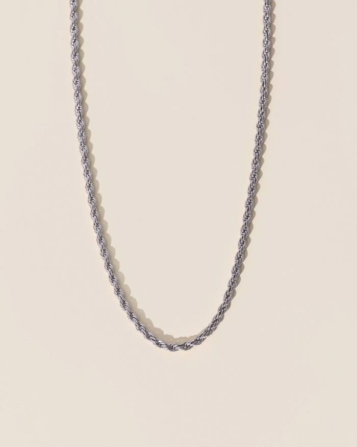 Torsade minimalist necklace